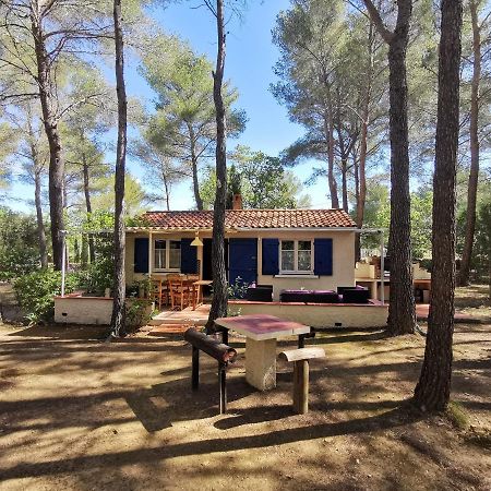 Maisonnette En Pleine Nature Le Beausset Kültér fotó